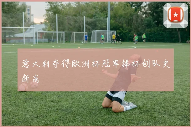 意大利夺得欧洲杯冠军捧杯创队史新高
