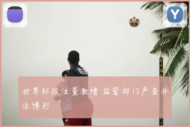 世界杯投注量激增 监管部门严查非法博彩