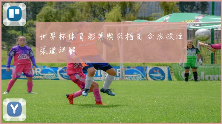 世界杯体育彩票购买指南 合法投注渠道详解