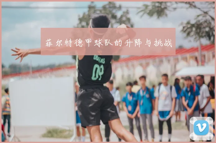 菲尔特德甲球队的升降与挑战