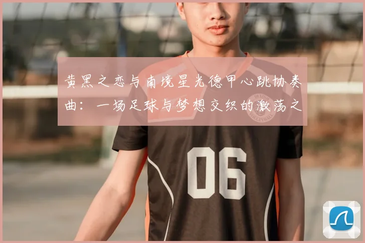 黄黑之恋与南境星光德甲心跳协奏曲:一场足球与梦想交织的激荡之旅