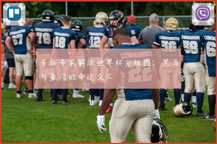 专访专家解读世界杯分组图：黑马与豪门的命运交汇