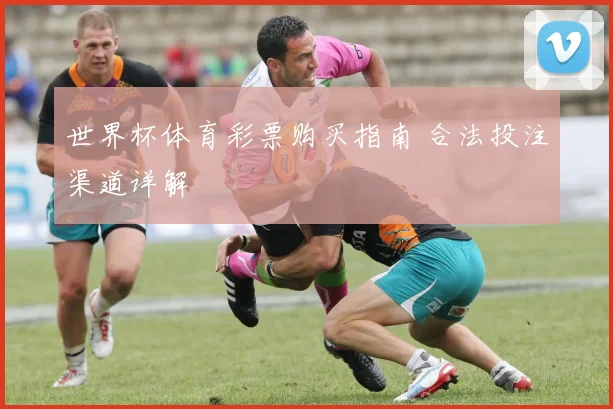 世界杯体育彩票购买指南 合法投注渠道详解