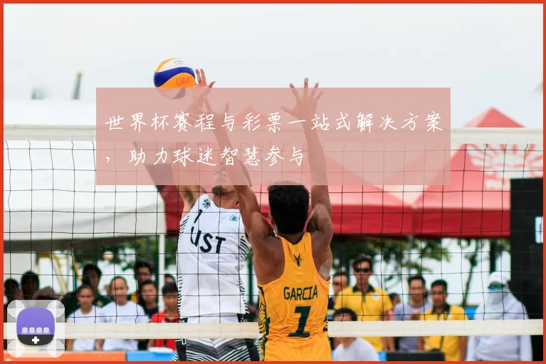 世界杯赛程与彩票一站式解决方案,助力球迷智慧参与