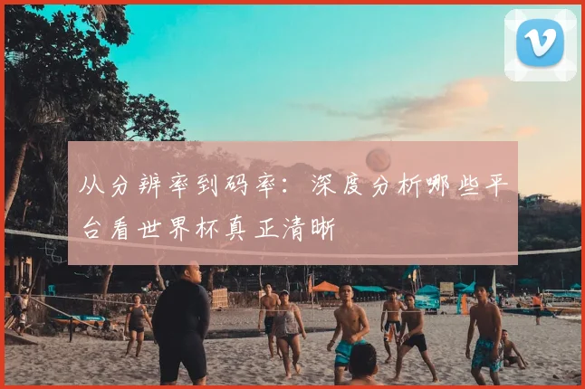 从分辨率到码率：深度分析哪些平台看世界杯真正清晰