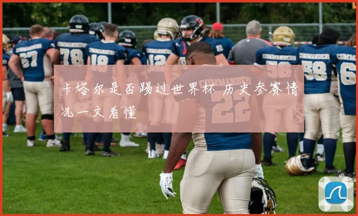 卡塔尔是否踢过世界杯 历史参赛情况一文看懂