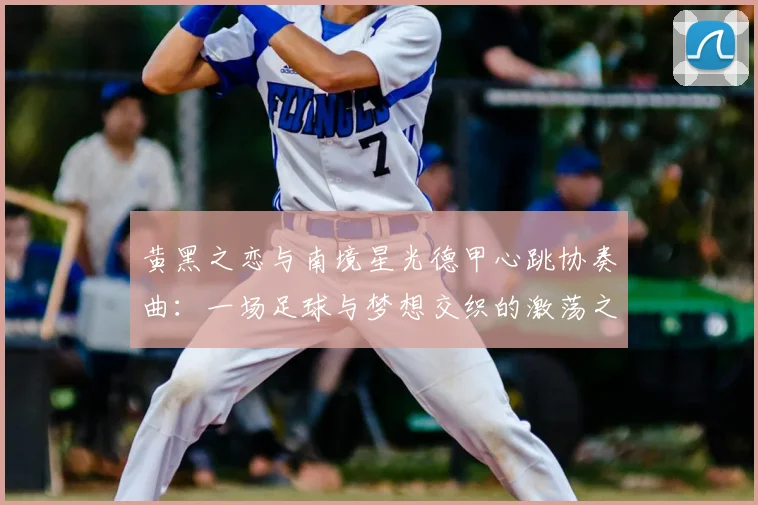 黄黑之恋与南境星光德甲心跳协奏曲:一场足球与梦想交织的激荡之旅
