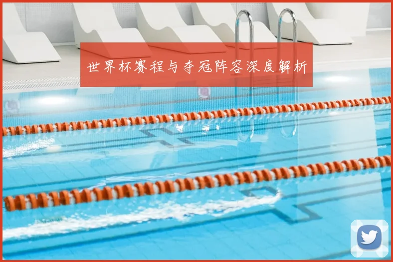 世界杯赛程与夺冠阵容深度解析