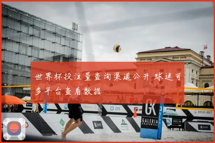 世界杯投注量查询渠道公开 球迷可多平台查看数据