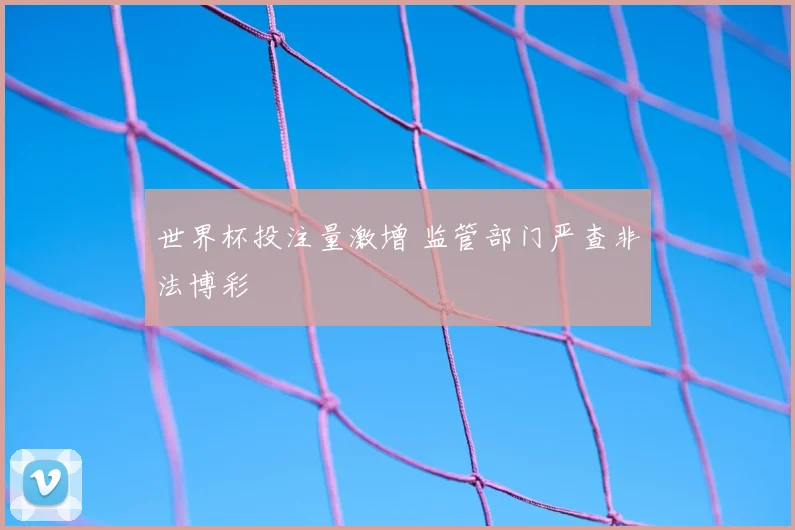 世界杯投注量激增 监管部门严查非法博彩